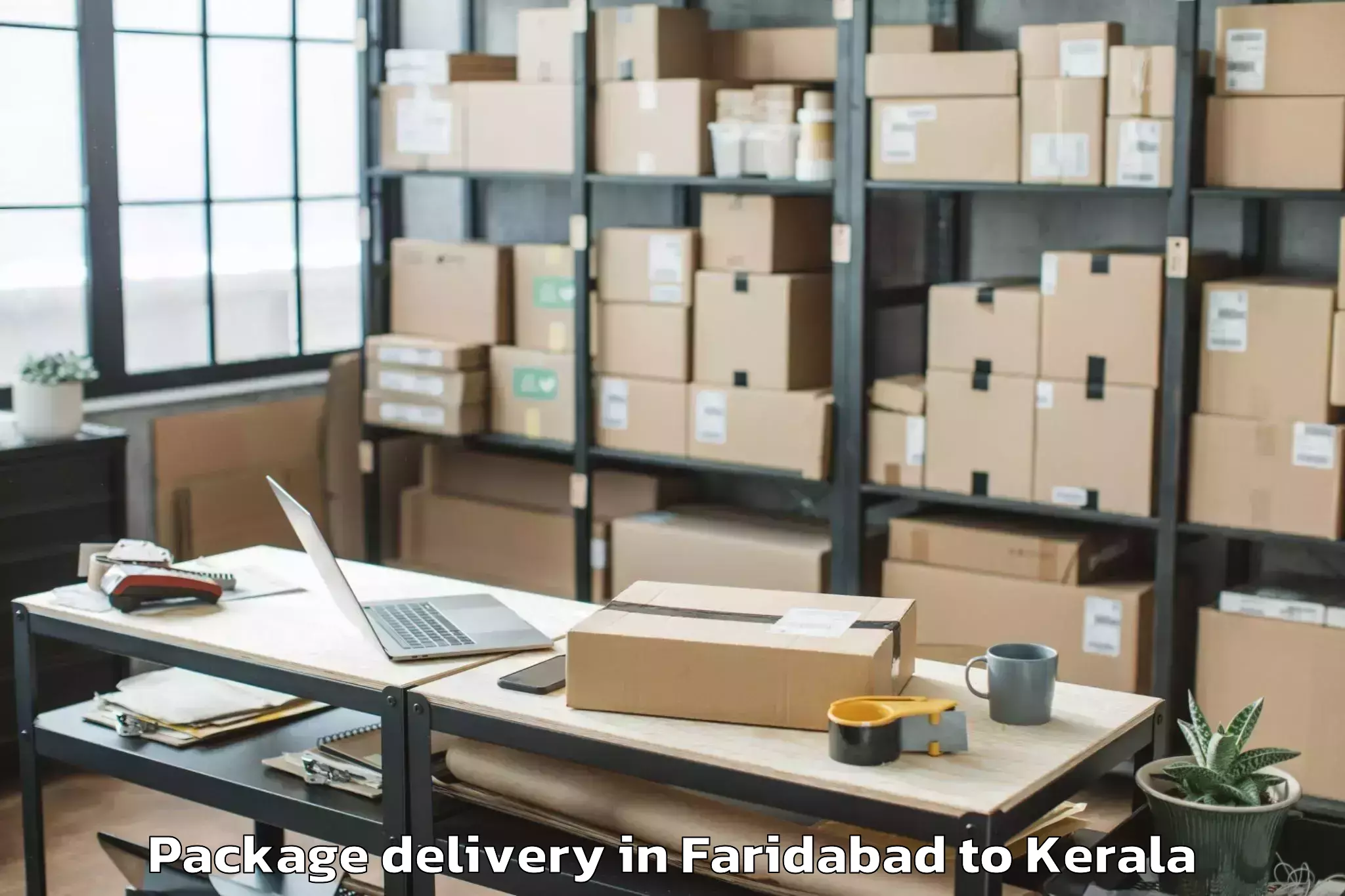 Trusted Faridabad to Karunagappalli Package Delivery